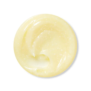 EQQUALBERRY Vitamin Illuminating Cream product image – brightening vitamin moisturizer Kuwait – Bautista