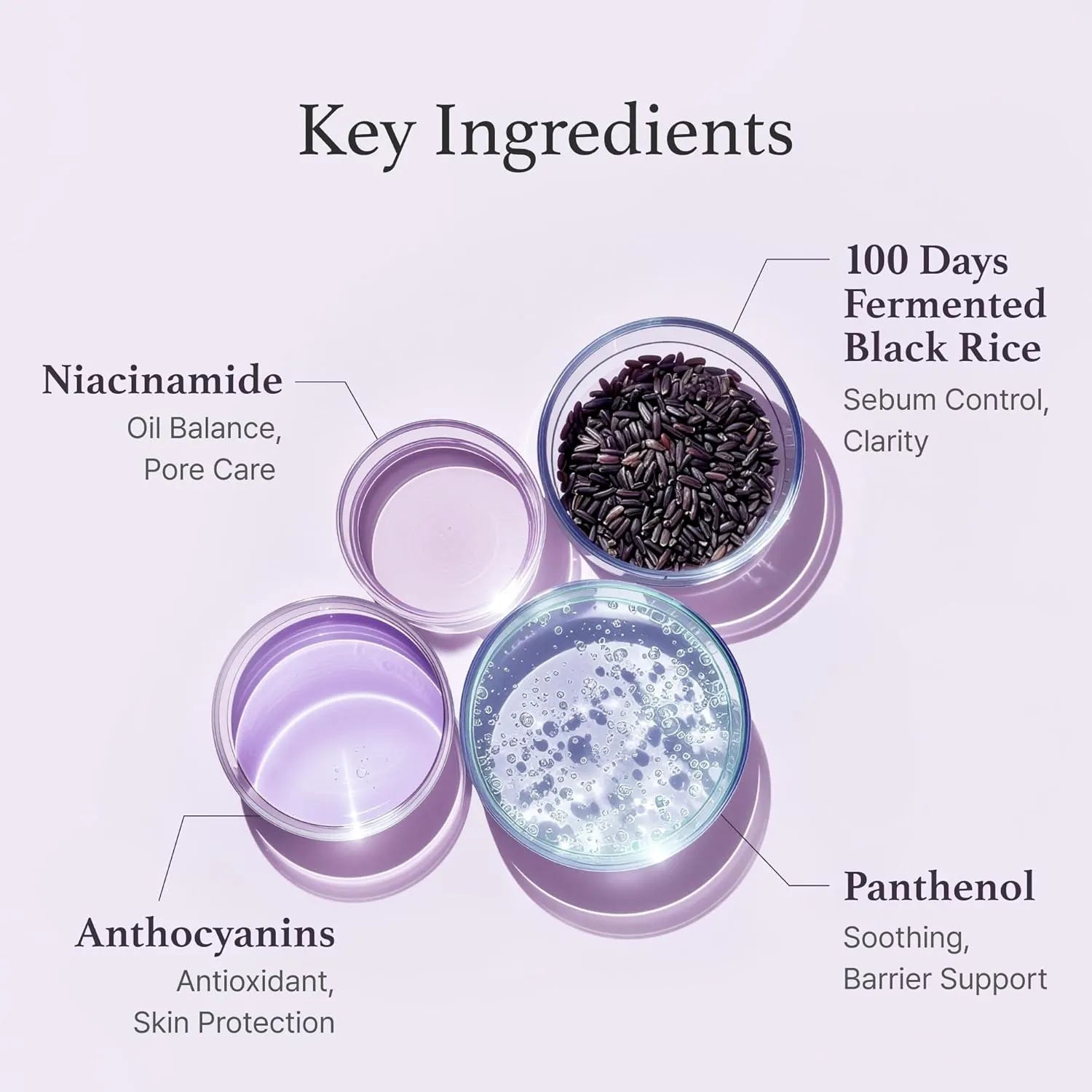 I’m From Black Rice Toner product image – hydrating fermented toner beutista